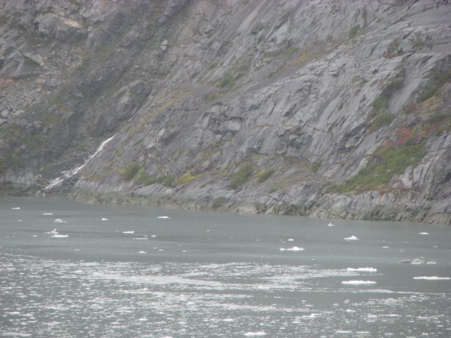 Glacier Bay itself was almost entirely iced over.