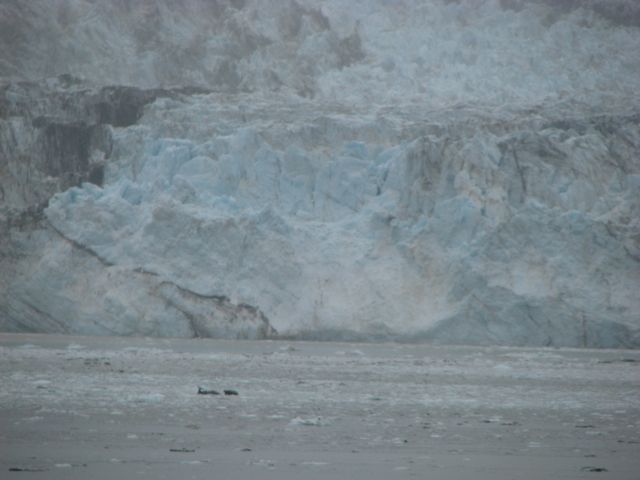 100 km (65 miles) from Glacier Bay's mouth.