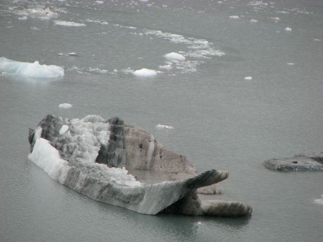 Scientists are hoping to learn how glacial