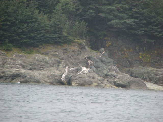 Another view of the shore