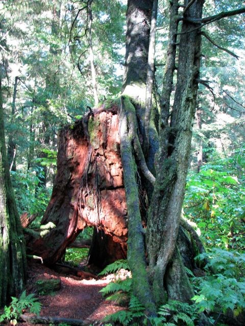 Some sights in Sitka