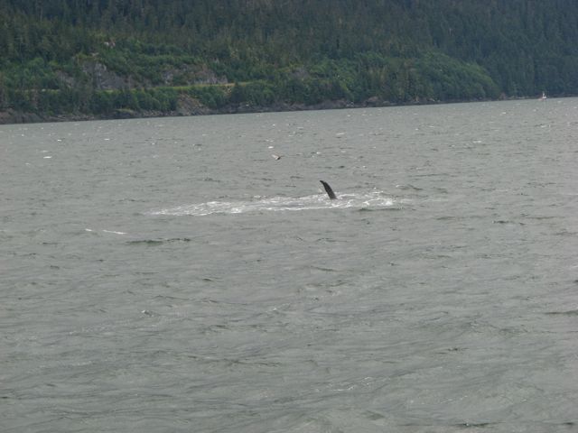 often breaching