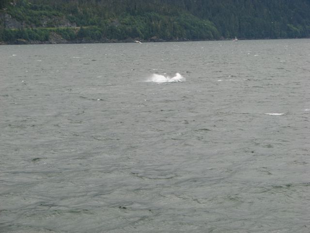 and slapping the water.