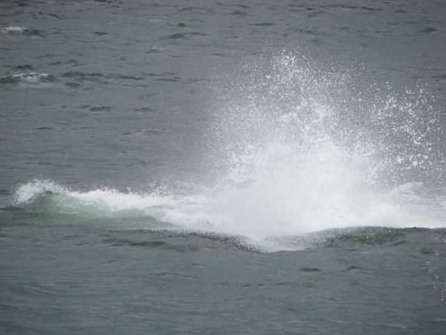 including the spectacular bubble 