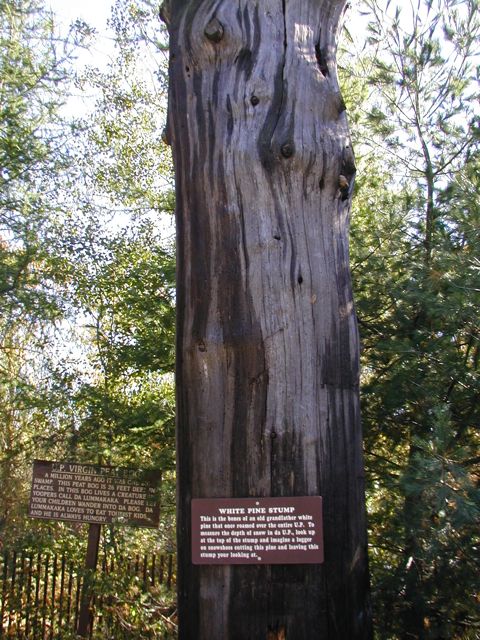 PA091045.JPG