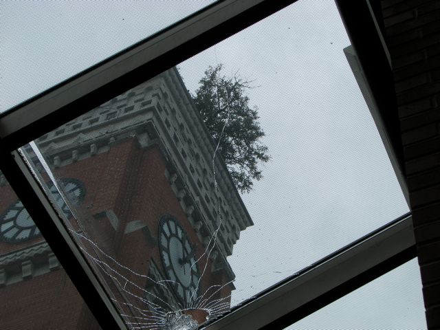 another view of the Tree