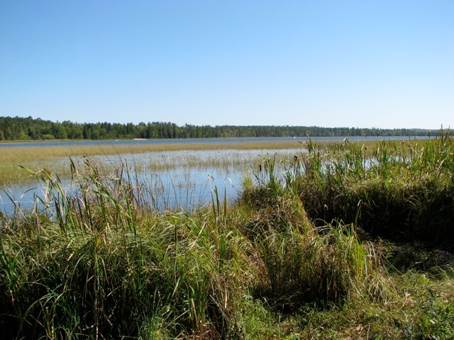 Lake Itaska