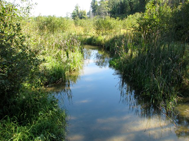 Mississippi River