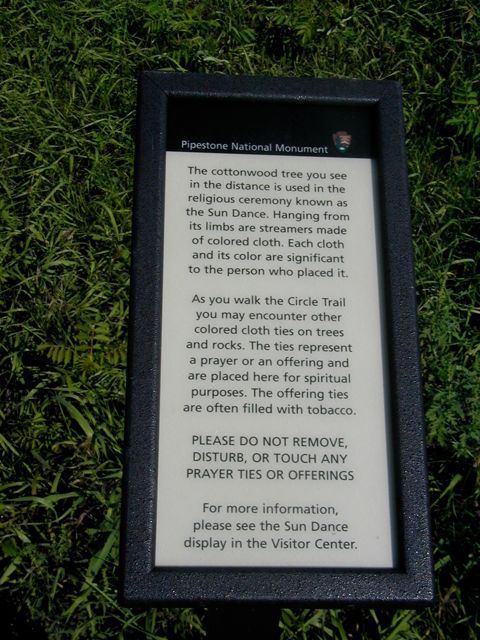 Cotton wood tree information